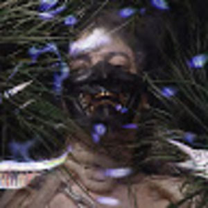 Meet your Posher, Demarco